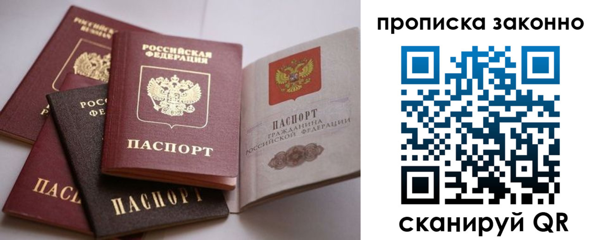 прописка гарантия в Мытищах